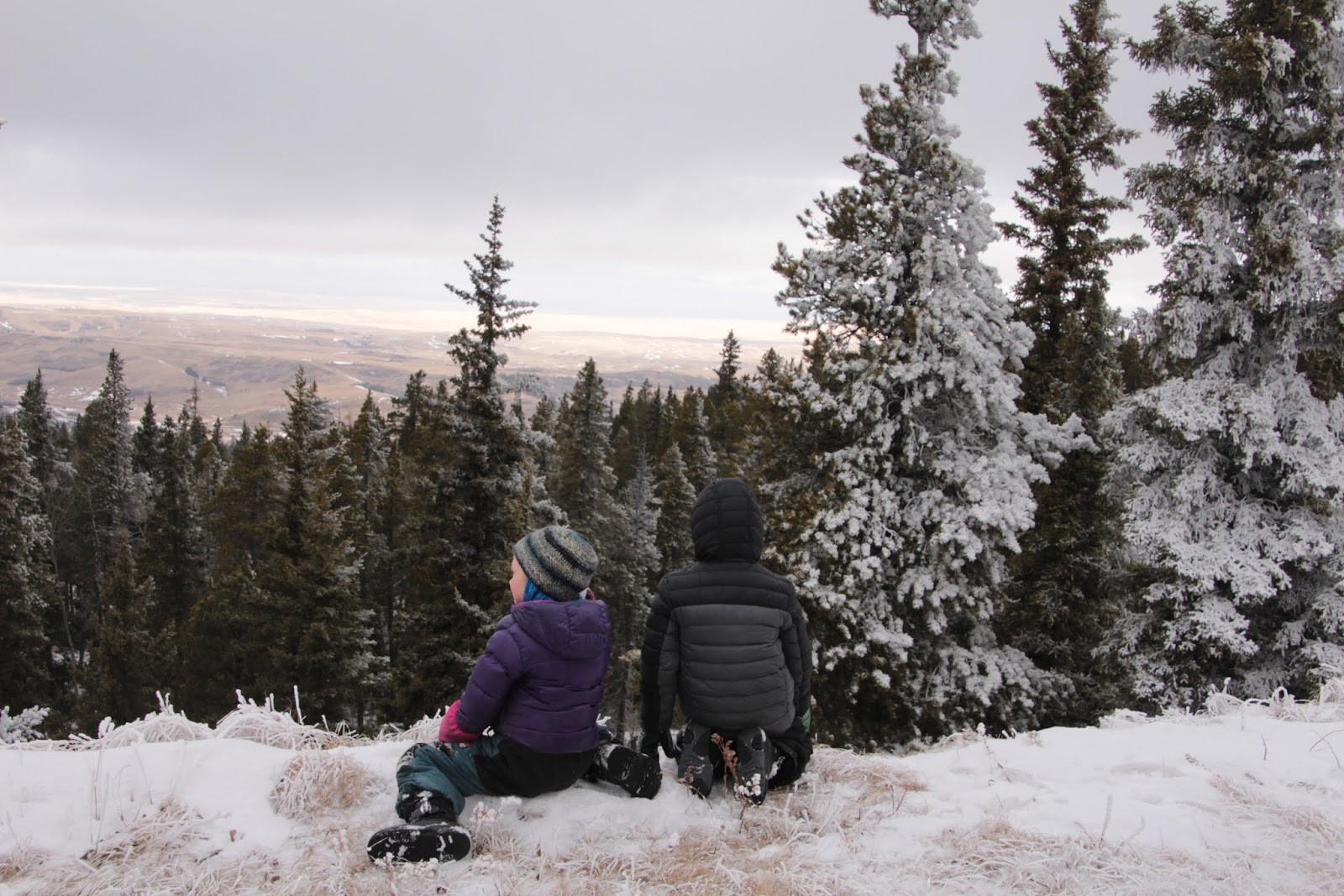 Family Adventures in the Canadian Rockies Winter Fun in Cypress Hills