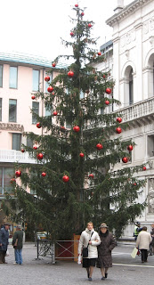 Christmas tree in Padova