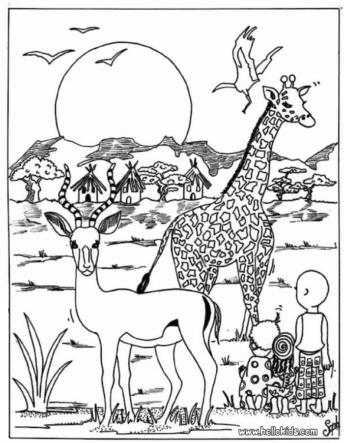 Printable Forest Animal Coloring Pages ~ Best Coloring Pages For Kids