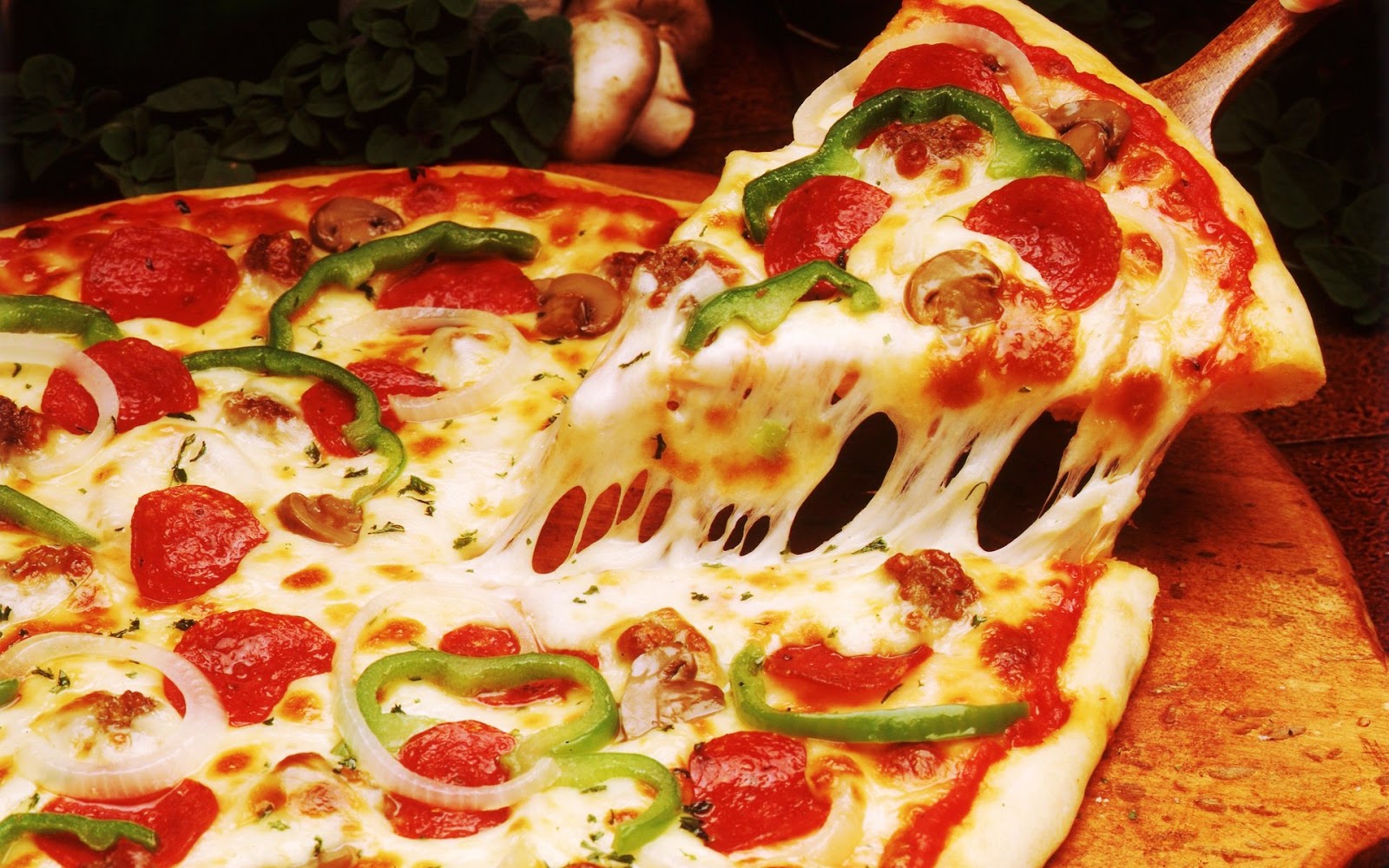 Mochobaa: Cara Membuat Pizza