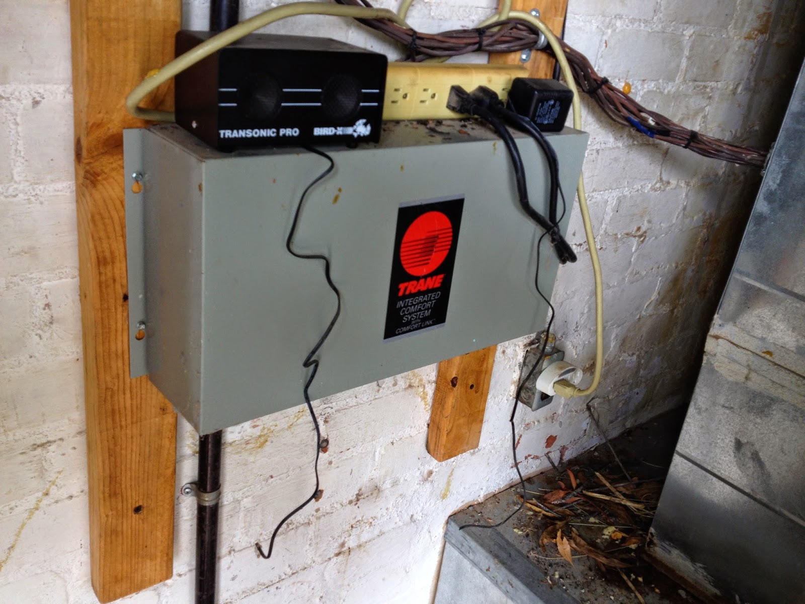 Mr. Pack Rat: Pack Rat Solution Myths