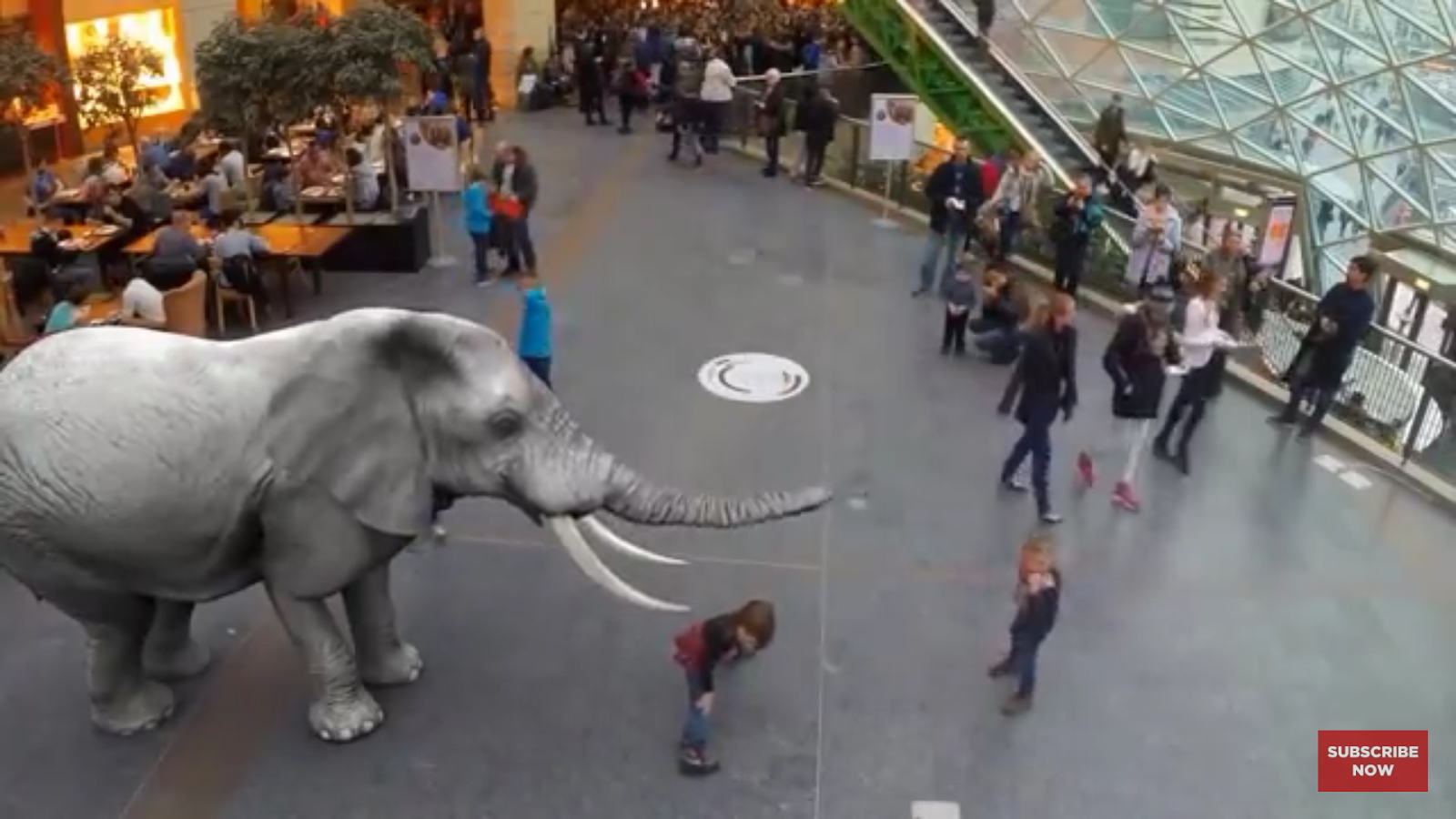 путешествие в джунгли vr. зоопарк виртуальной реальности. виртуальный зоопарк. голографический зоопарк в японии. нарисовать зоопарк.