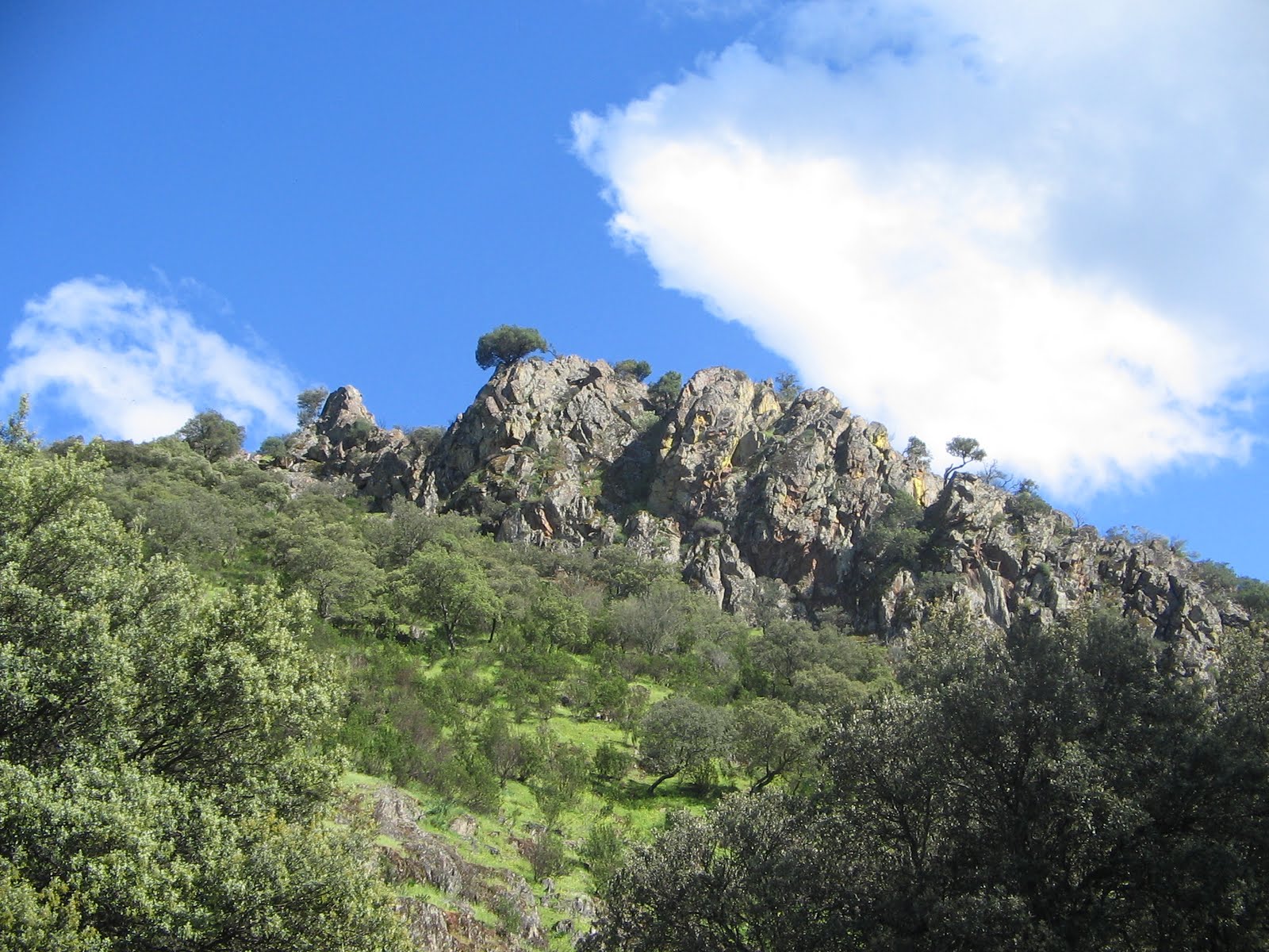 Foto de Peñas Pardas en Arroba de los Montes, Ciudad Real