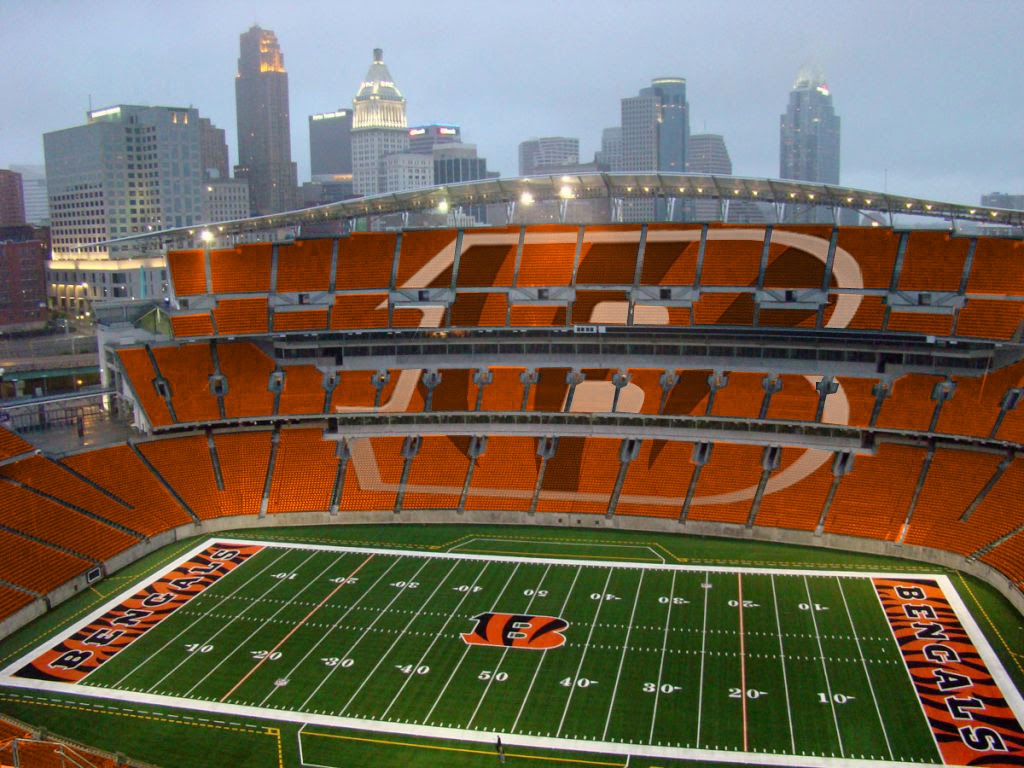 12oz ProSpective 12oz Design, LLC Bengals Style!