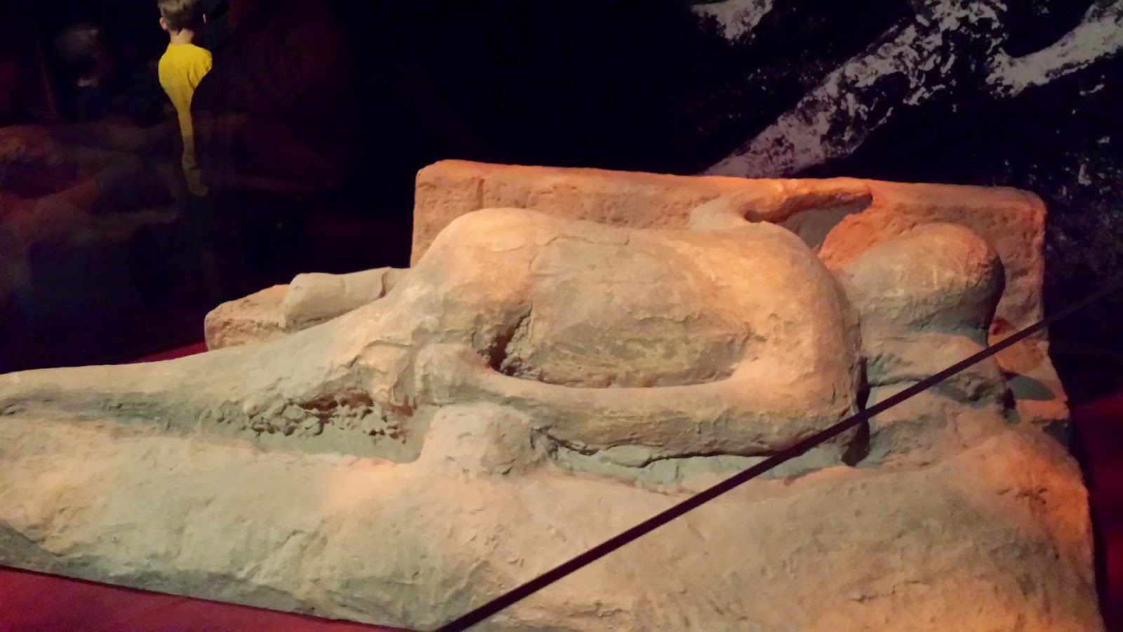 Pompeii Museum Exhibition