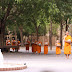 สามเณร ปลูกปัญญาธรรม ปี ๕ ภาพสรุปกิจวัตรประจำวันที่ ๒๙ เมษายน ๕๙