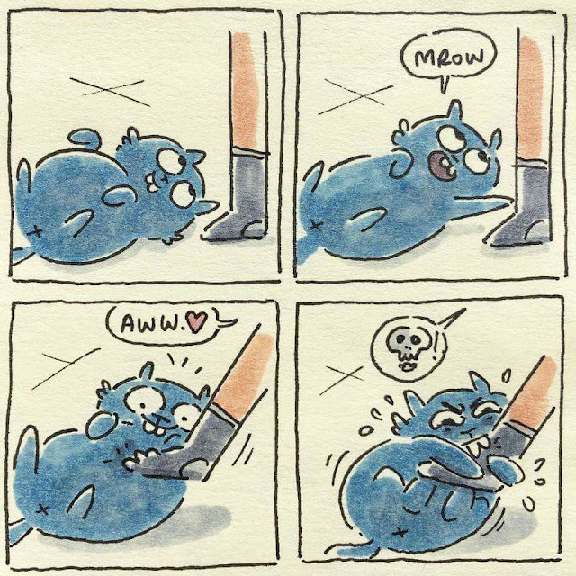 cuando el gato juega con tus piernas, humor gatos cuando el gato juega con tus piernas, humor gatos
