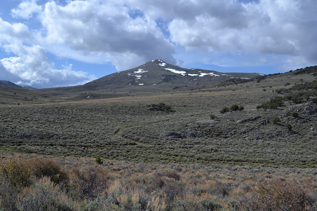 Treasure Hill rising behind Hamilton