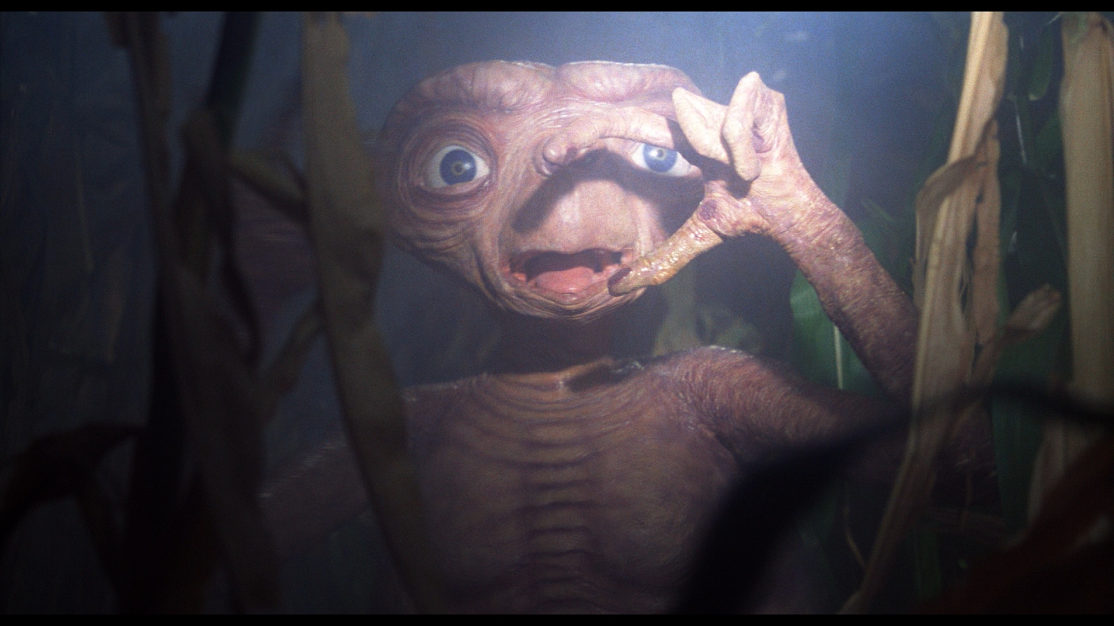 Extra Terrestrial Extra Terrestrial