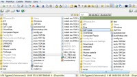 10 Programmi per Navigare cartelle in Windows e Spostare file