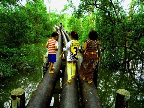 Kabarkaltim Co Id Hutan Mangrove Jadi Wisata Alternatif Kabarkaltim Co Id Hutan Mangrove Jadi Wisata Alternatif