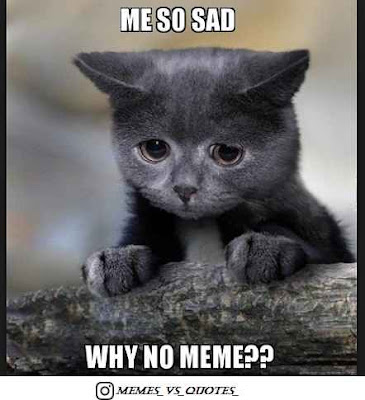No Meme Why no meme