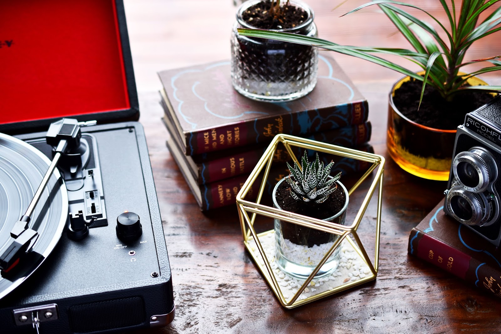 Woman in Real Life DIY Terrarium Made With a Candle Jar & A Jewelry