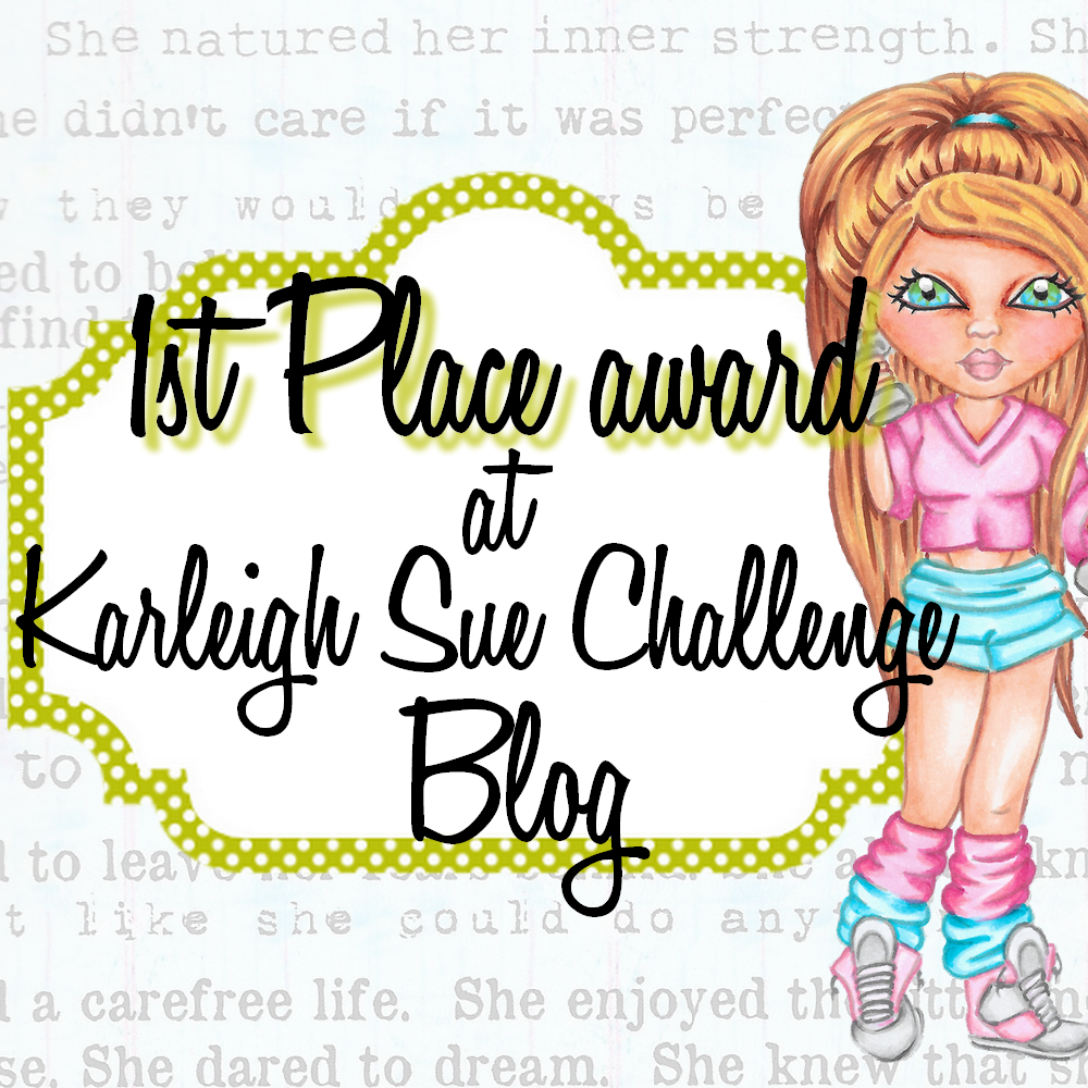 Karleigh Sue Challenge blog