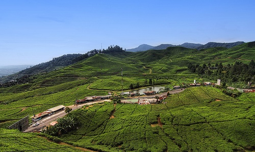 PUNCAK BOGOR - INDONESIA TOURISM