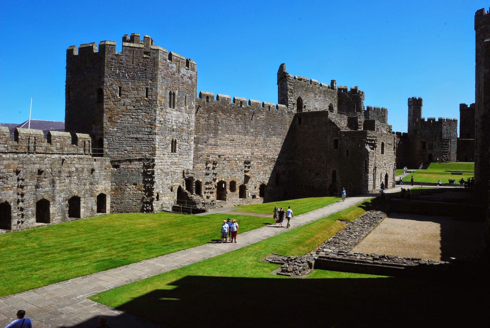 Snapdragon Wales Caernarfon Castle