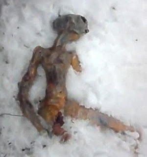 Dead Alien is Found in Snow NearIrkutsk, Russia