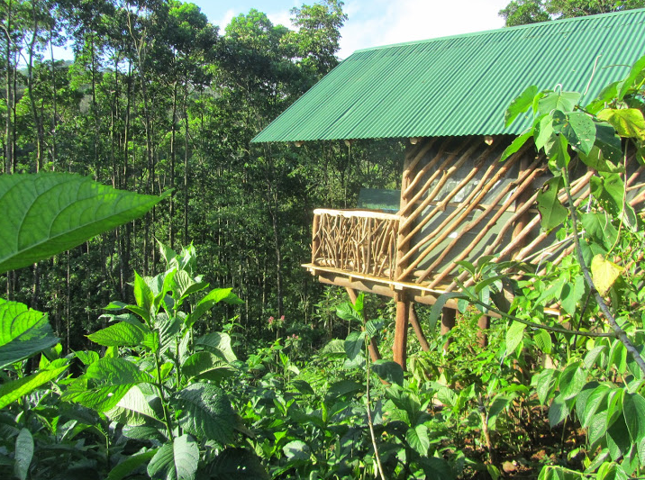 La Tigra Rainforest Lodge, Costa Rica. Travel-to-Nature