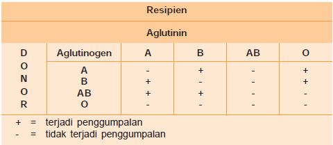 Jenis Dan Sistem Penggolongan Darah Manusia Untuk Kegiatan Transfusi Atau Donor Darah Materiedukasi Com