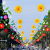 Tirana ready for the Day of Summer