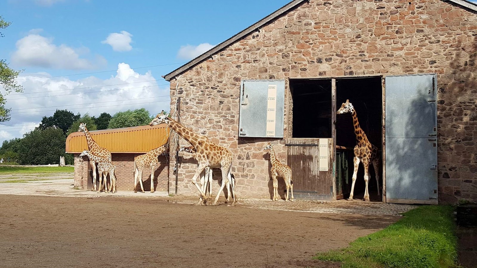 It's A Family Adventure!: It's Time to Play! at Chester Zoo