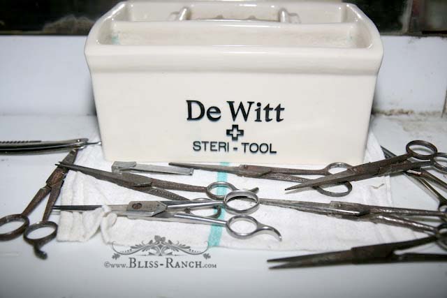 De Witt Steri Tool Ceramic Scissor Container
