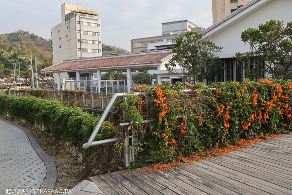 台中霧峰|阿罩霧園區|本堂公園|炮仗花牆|兒童遊樂設施|社區公園 台中霧峰|阿罩霧園區|本堂公園|炮仗花牆|兒童遊樂設施|社區公園