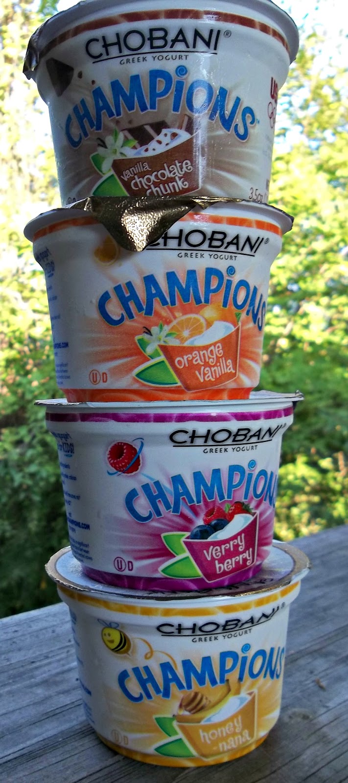 Lunches Fit For a Kid Review & Giveaway Chobani Champions Greek Yogurt