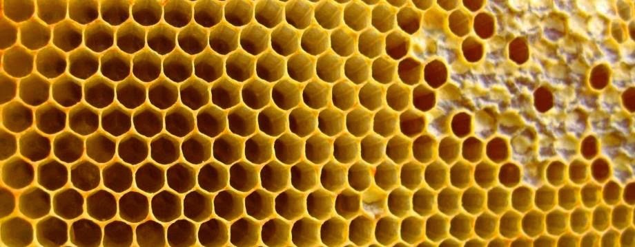 4 Fakta Ajaib Mengapa Sarang Lebah Berbentuk Segi Enam - Ajaib dan Aneh