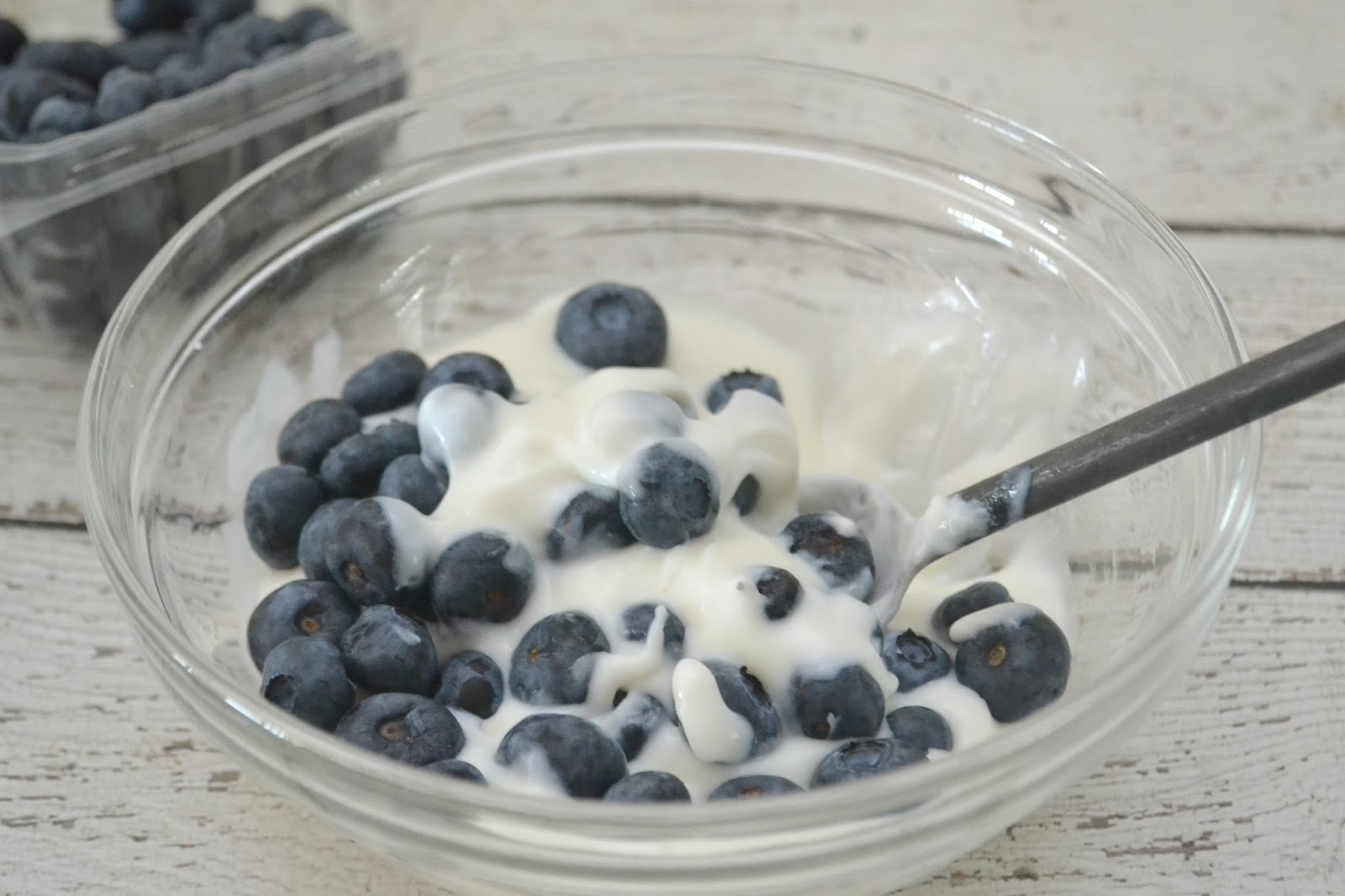 Frozen Yogurt Covered Blueberries Building Our Story