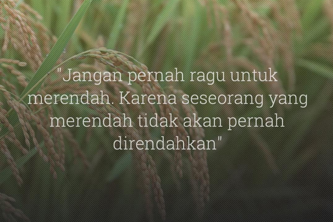 Kata Kata Motivasi Untuk Pelajar Semangat Setelah Liburan - Aridjaya Site