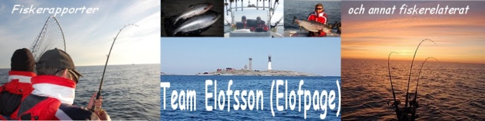 Fiskerapporter ifrån Team Elofsson