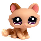 Littlest Pet Shop Gift Set Kitten (#1444) Pet