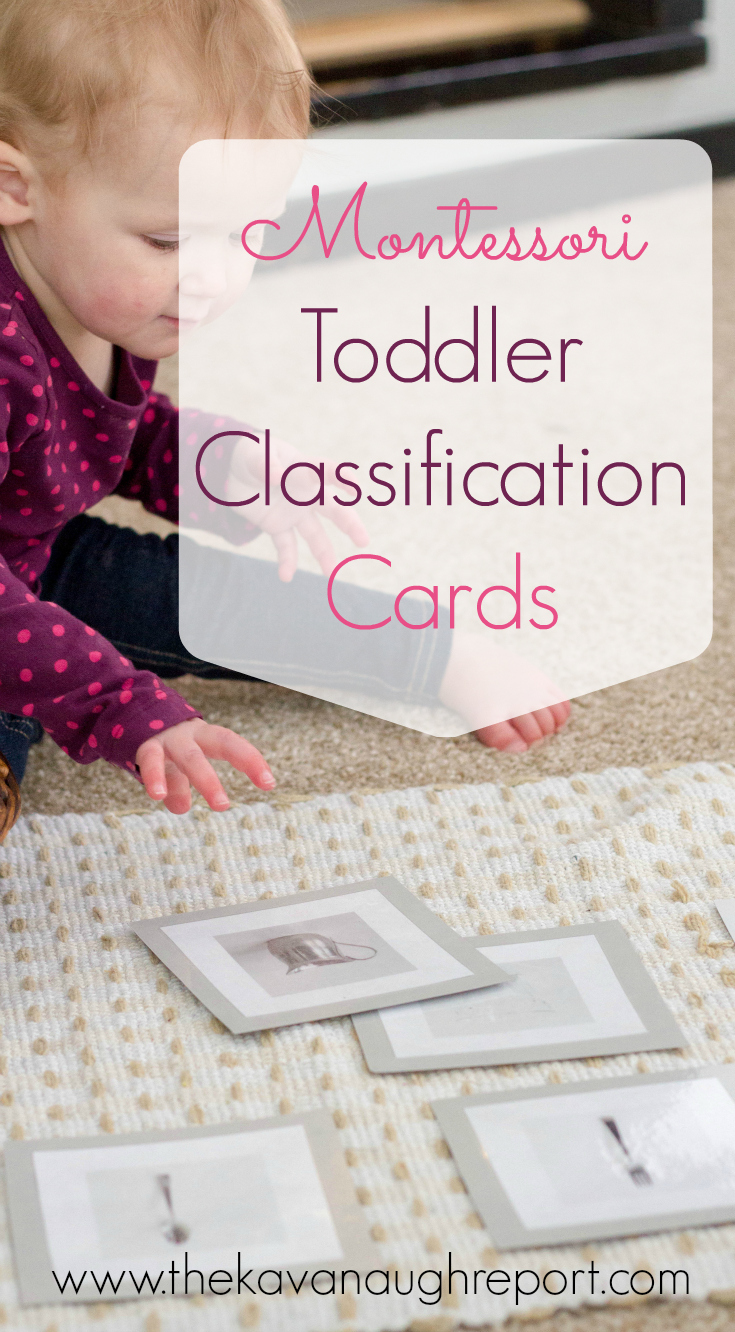 Montessori Toddler Classification Cards with Printable