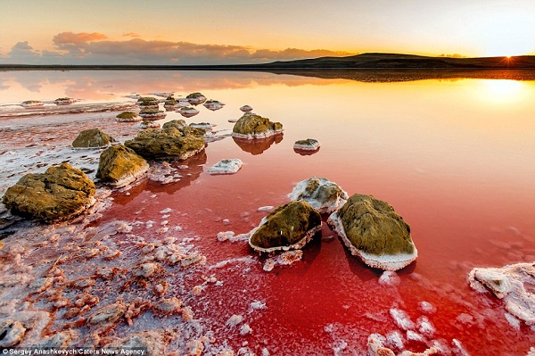 Koyashskoye koyashskoye-salt-lak