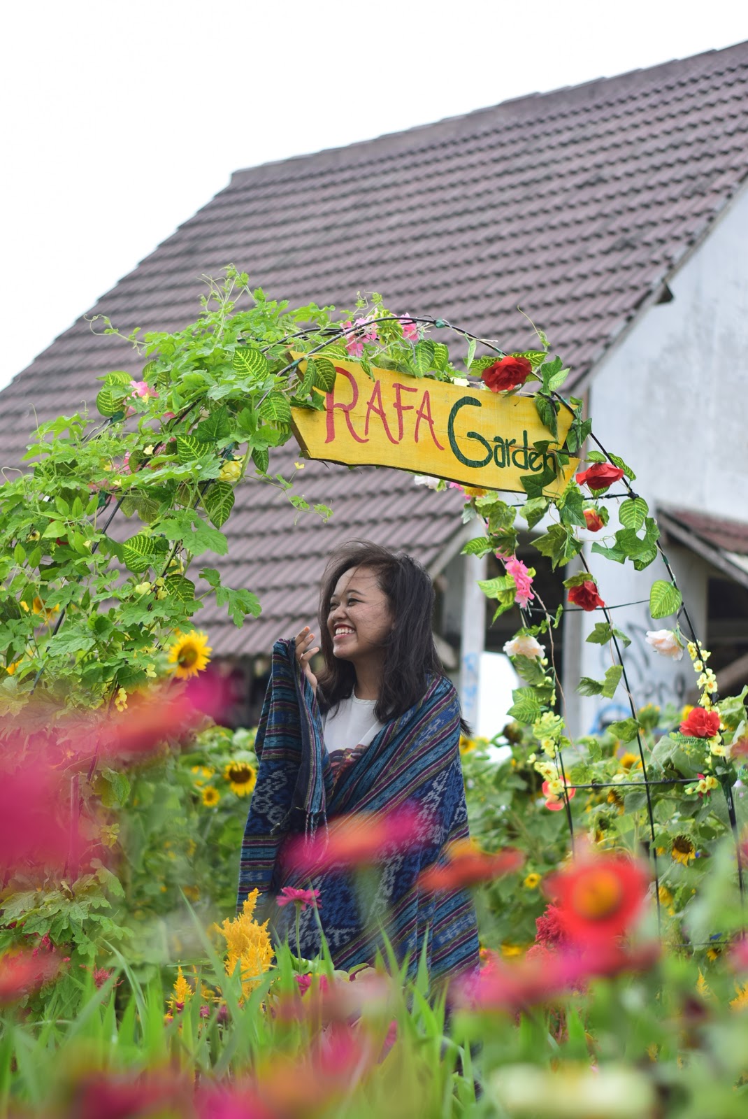 Spot Wisata Baru di Jogja  Taman  Bunga  Matahari 