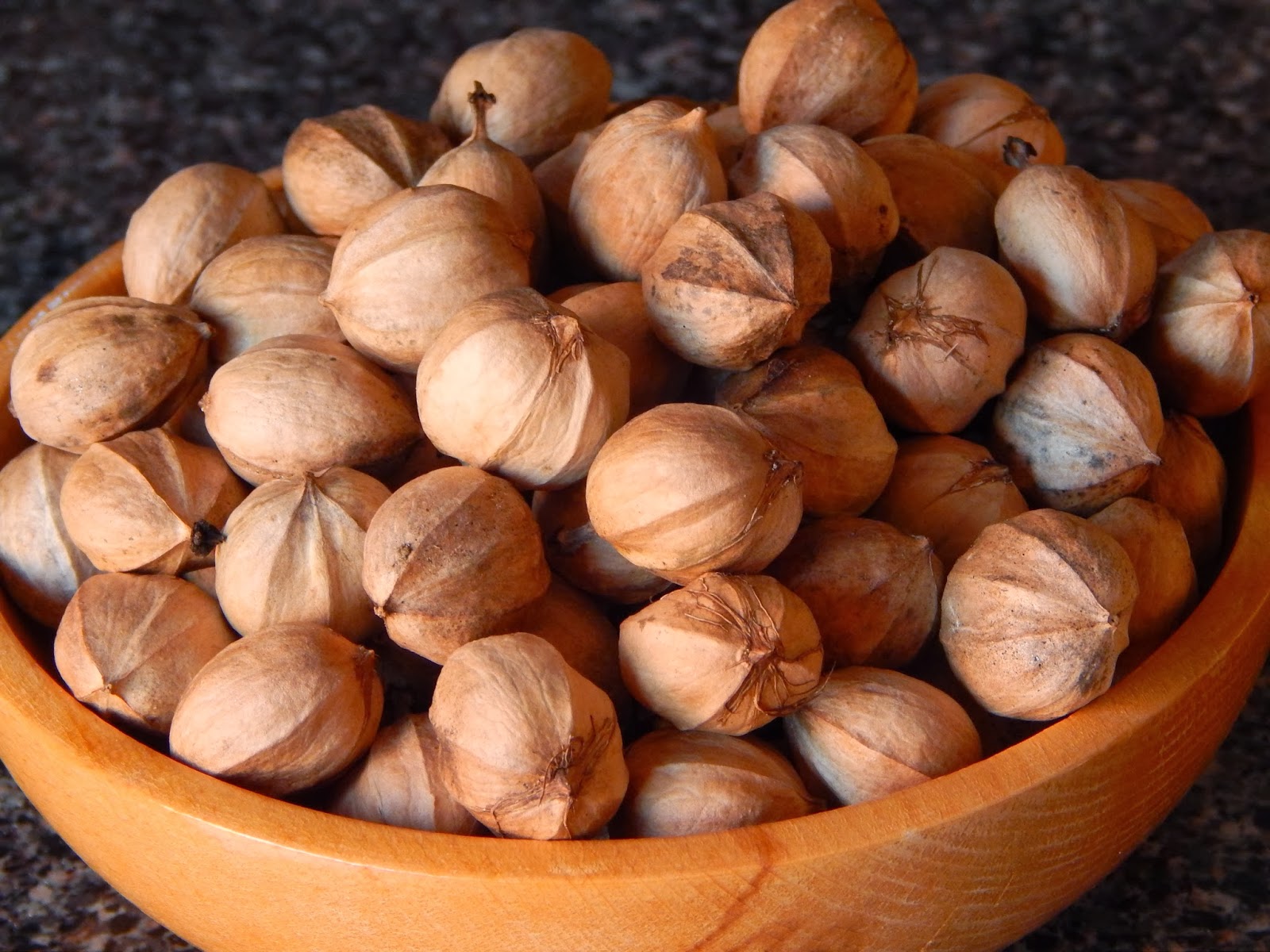 Hickory Nuts