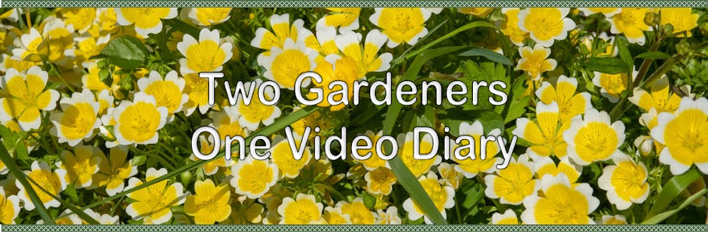 Two Gardeners - One Video Diary