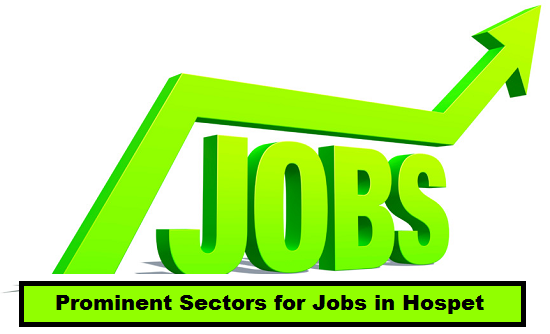 Prominent Sectors for Jobs in Hospet, Karnataka