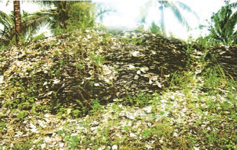 Pengertian Perkembangan Serta Peninggalan Zaman Purba Dari Kebudayaan Kjokkenmoddinger Dan Kebudayaan Abris Sous Roche Materiedukasi Com