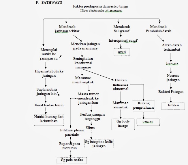 Asuhan Keperawatan Stroke Asuhan Keperawatan Stroke