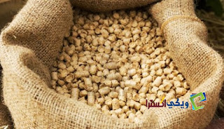 اسعار العلف اليوم فى مصر اسعار العلف اليوم فى مصر