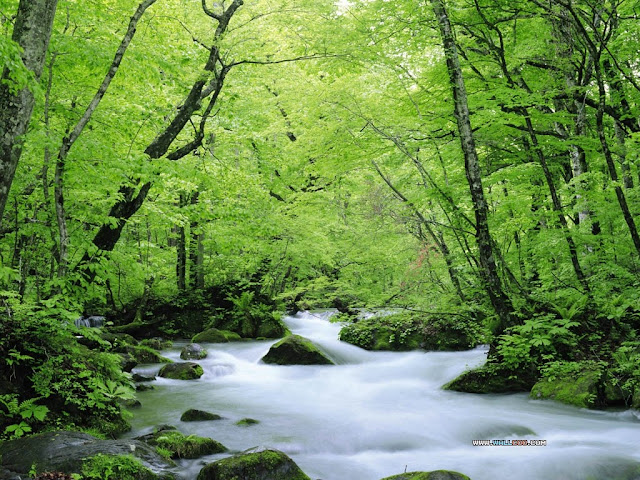 View source image Image result for free nature