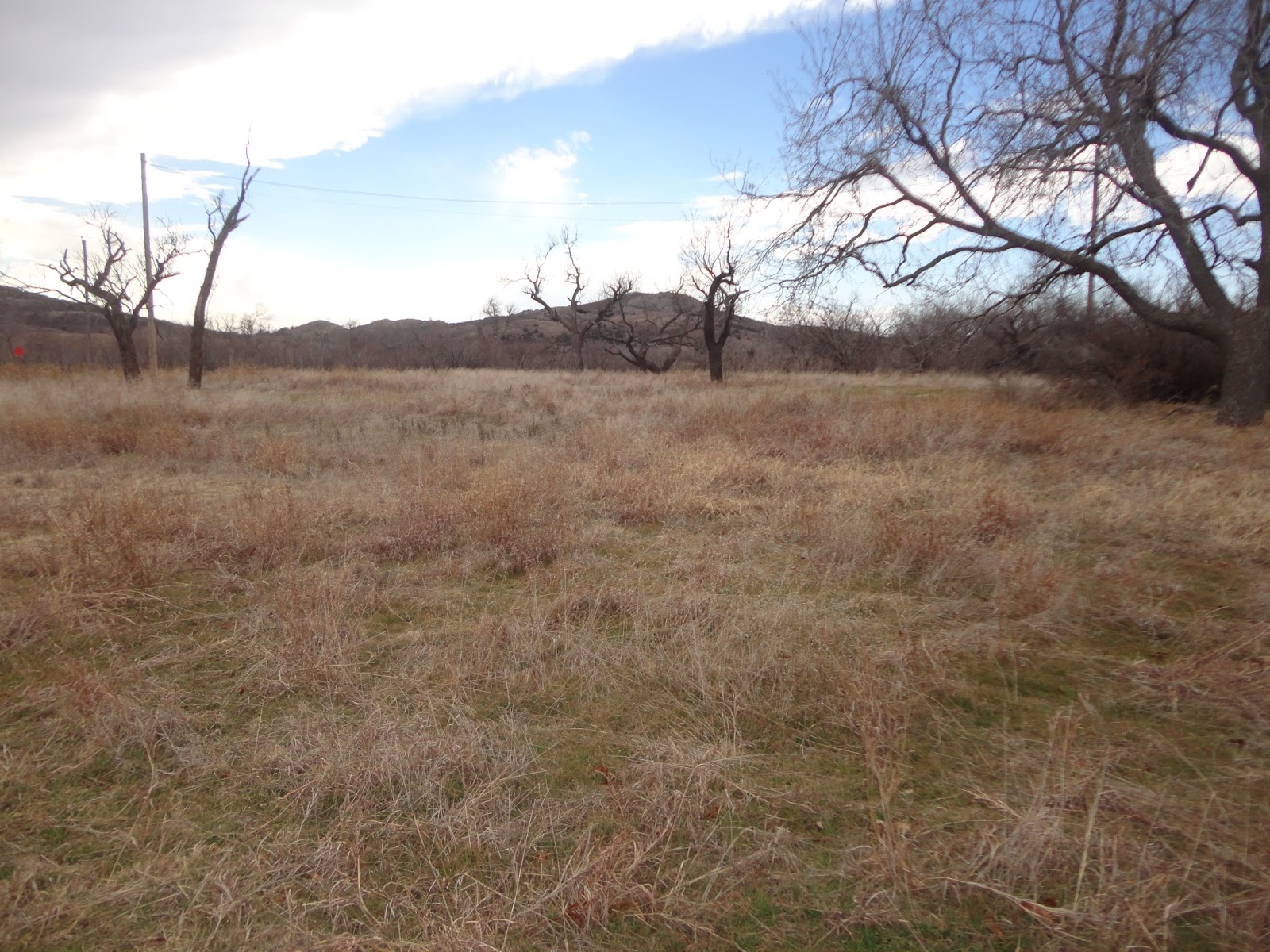 Voices For Rabbits As long as the wind blows, the grass grows and the