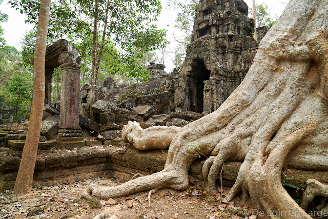 Ta Nei - Angkor - Cambodge