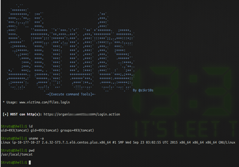 struts2shell interactive shell command to exploit apache struts reverse shell cheat sheet