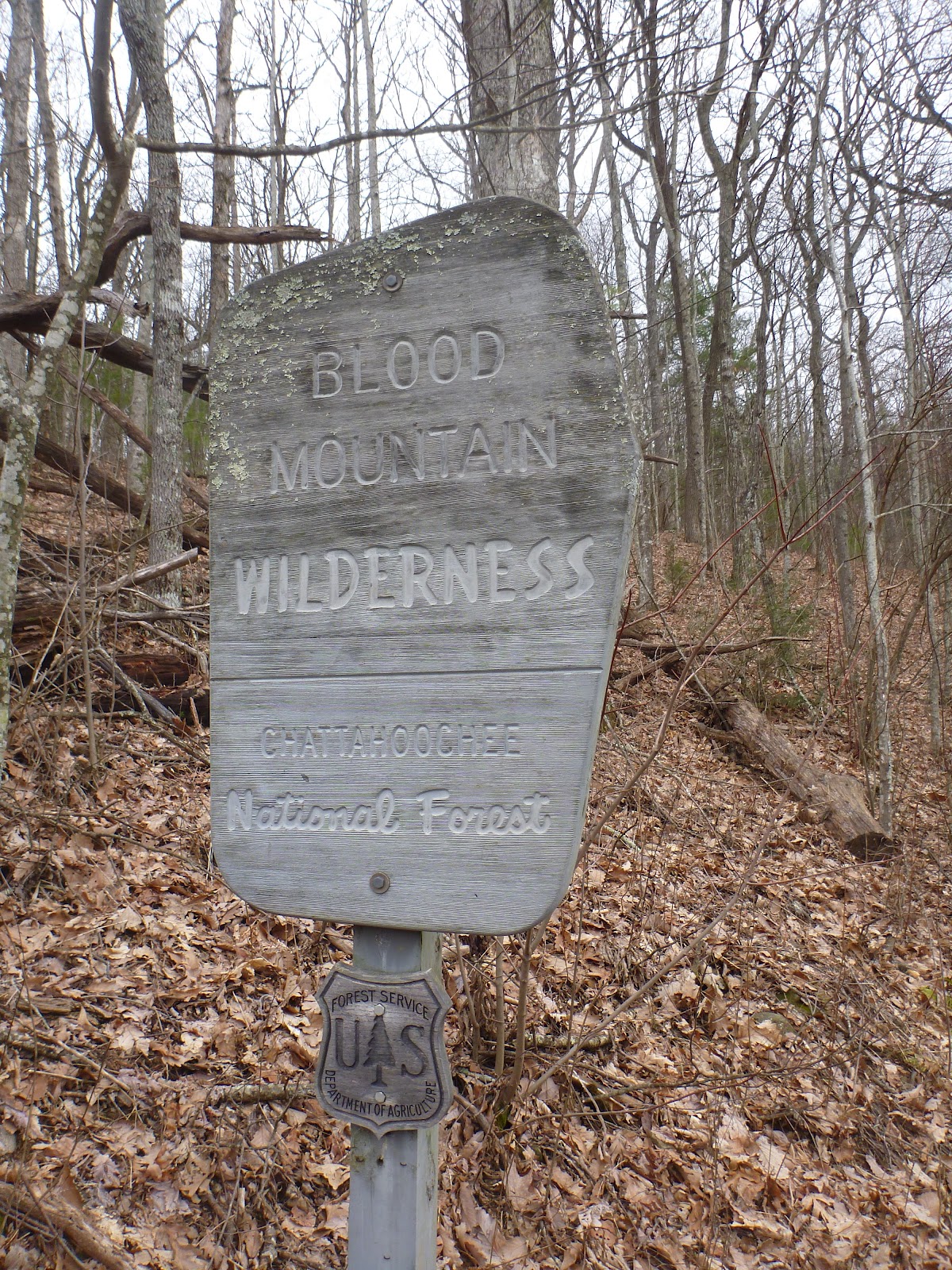 Brett's A.T. Photos Day 5 (2/22/12) Woods Hole Shelter to Neels Gap, GA