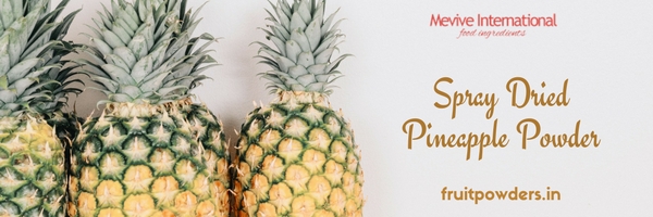 Pineapple powder supplier, manufacturer