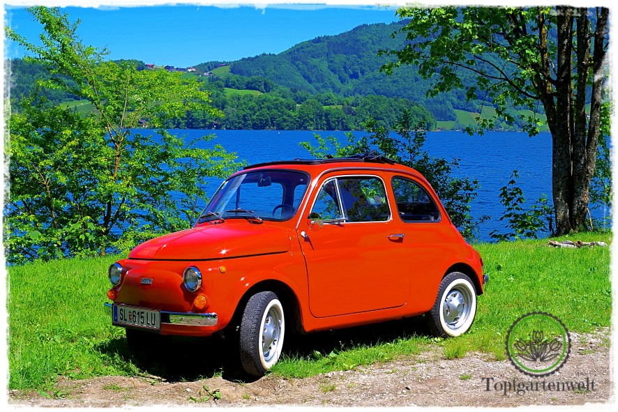 Fiat 500: Ein Oldtimer im Grünen - Fotowettbewerb 2017 und Sturmtief