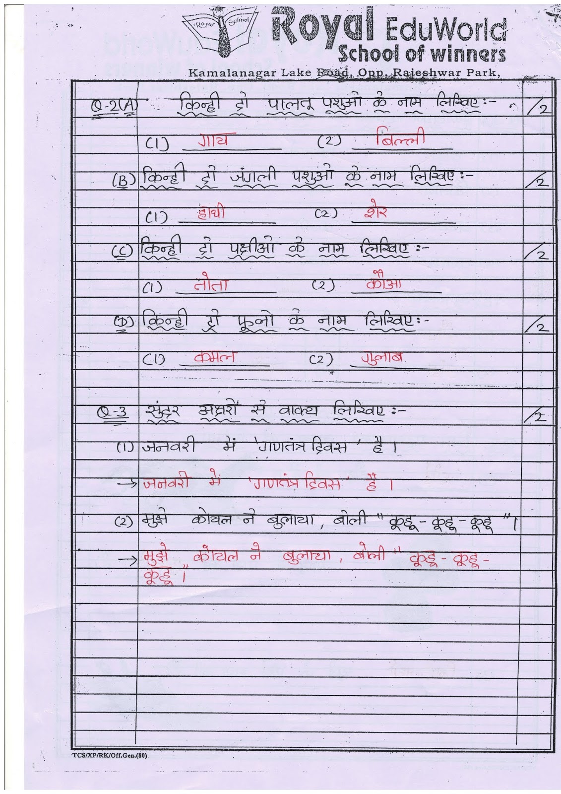 exam paper in hindi